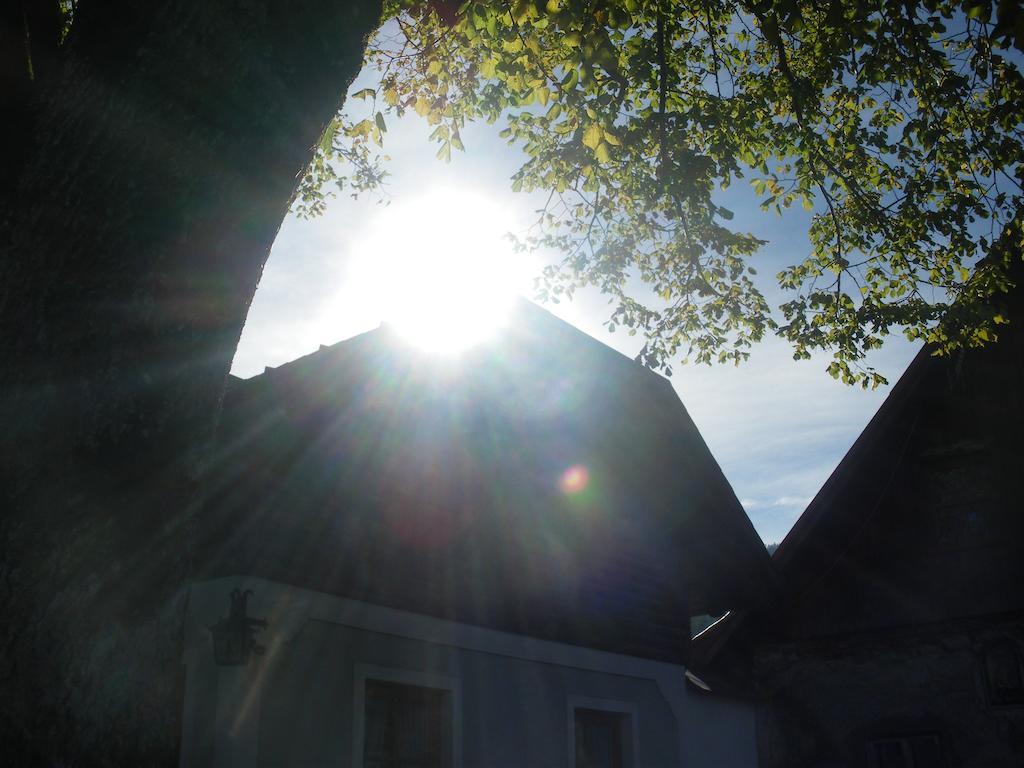 Villa Bio-Bauernhof Kurzeck Göstling an der Ybbs Esterno foto
