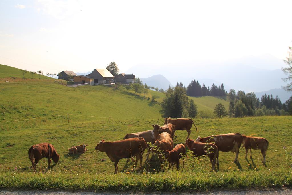 Villa Bio-Bauernhof Kurzeck Göstling an der Ybbs Esterno foto
