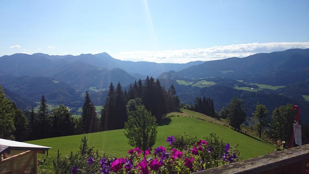 Villa Bio-Bauernhof Kurzeck Göstling an der Ybbs Esterno foto